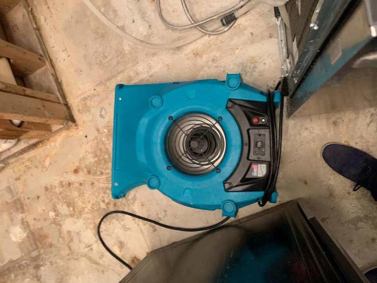 Air mover drying equipment for Mold Remediation & Removal in Glenarden